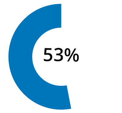 53% пользователей